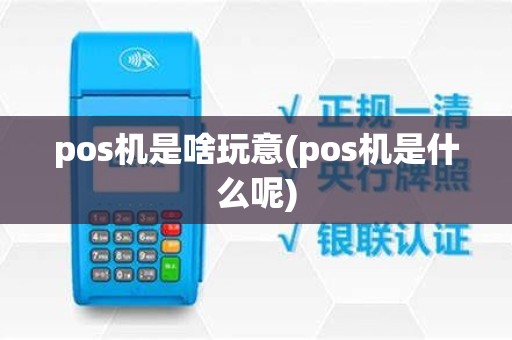 pos机是啥玩意(pos机是什么呢)