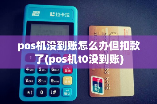 pos机没到账怎么办但扣款了(pos机t0没到账)