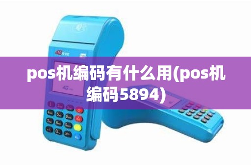 pos机编码有什么用(pos机编码5894) pos机编码有什么用(pos机编码5894)