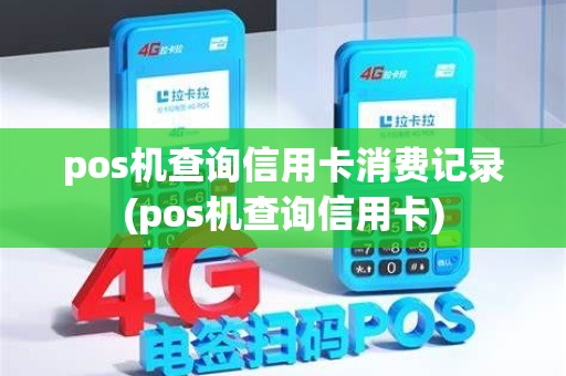 pos机查询信用卡消费记录(pos机查询信用卡)