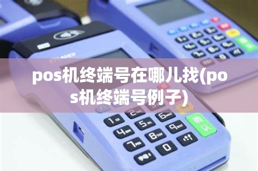 pos机终端号在哪儿找(pos机终端号例子)