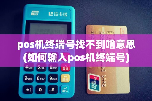 pos机终端号找不到啥意思(如何输入pos机终端号) pos机终端号找不到啥意思(如何输入pos机终端号)