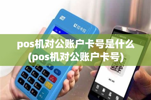 pos机对公账户卡号是什么(pos机对公账户卡号)