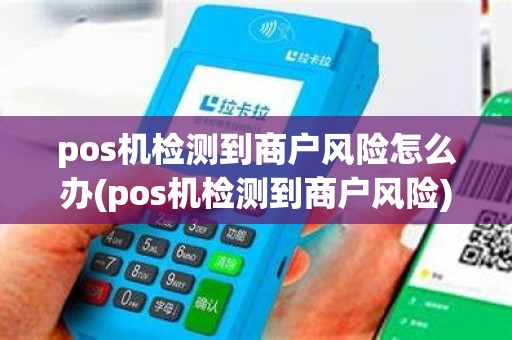 pos机检测到商户风险怎么办(pos机检测到商户风险)