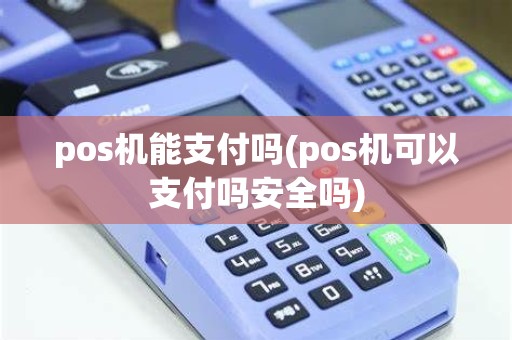 pos机能支付吗(pos机可以支付吗安全吗)