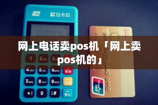 网上电话卖pos机「网上卖pos机的」