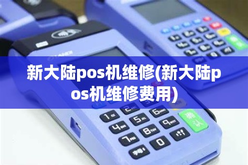 新大陆pos机维修(新大陆pos机维修费用)