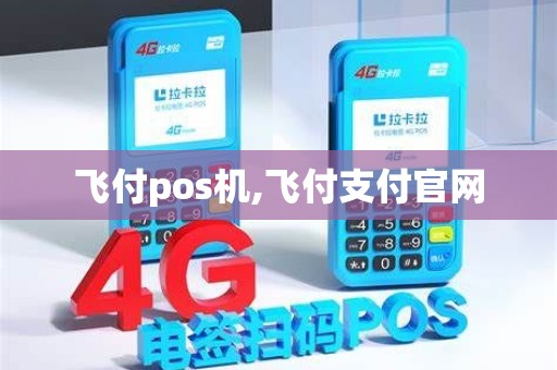 飞付pos机,飞付支付官网