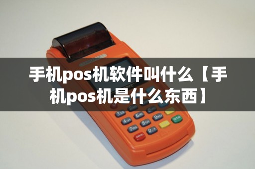 手机pos机软件叫什么【手机pos机是什么东西】