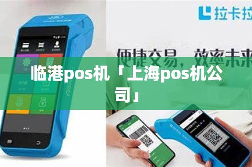 临港pos机「上海pos机公司」