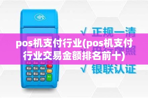 pos机支付行业(pos机支付行业交易金额排名前十)