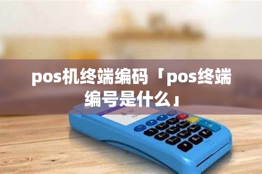 pos机终端编码「pos终端编号是什么」