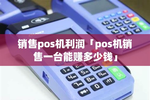 销售pos机利润「pos机销售一台能赚多少钱」
