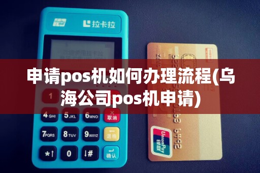 申请pos机如何办理流程(乌海公司pos机申请)