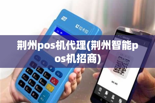 荆州pos机代理(荆州智能pos机招商)
