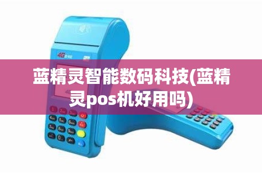 蓝精灵智能数码科技(蓝精灵pos机好用吗)