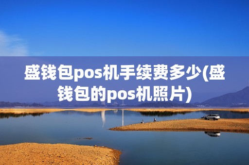 盛钱包pos机手续费多少(盛钱包的pos机照片)