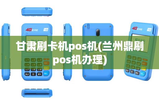 甘肃刷卡机pos机(兰州鼎刷pos机办理)