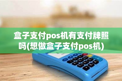 盒子支付pos机有支付牌照吗(想做盒子支付pos机)