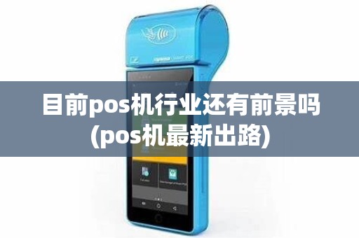 目前pos机行业还有前景吗(pos机最新出路)