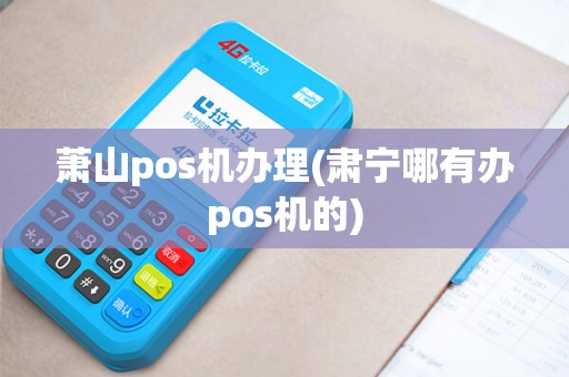 萧山pos机办理(肃宁哪有办pos机的)