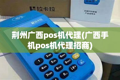 荆州广西pos机代理(广西手机pos机代理招商)