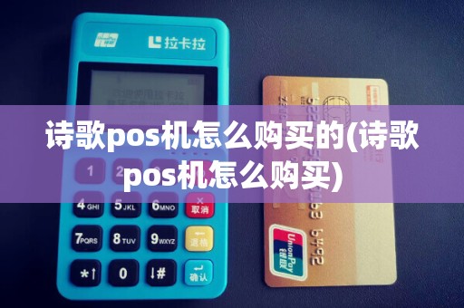诗歌pos机怎么购买的(诗歌pos机怎么购买)