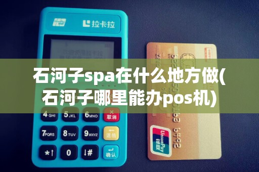 石河子spa在什么地方做(石河子哪里能办pos机)