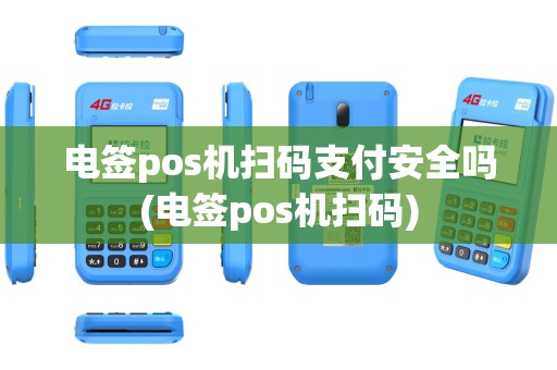 电签pos机扫码支付安全吗(电签pos机扫码)