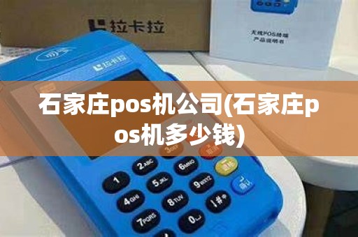 石家庄pos机公司(石家庄pos机多少钱)