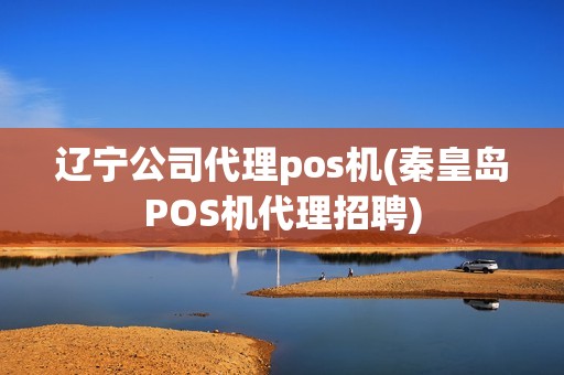 辽宁公司代理pos机(秦皇岛POS机代理招聘)