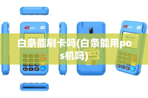 白条能刷卡吗(白条能用pos机吗)