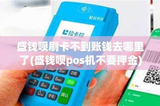 盛钱呗刷卡不到账钱去哪里了(盛钱呗pos机不要押金)