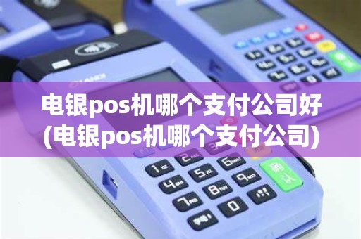 电银pos机哪个支付公司好(电银pos机哪个支付公司)