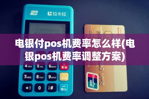 电银付pos机费率怎么样(电银pos机费率调整方案)