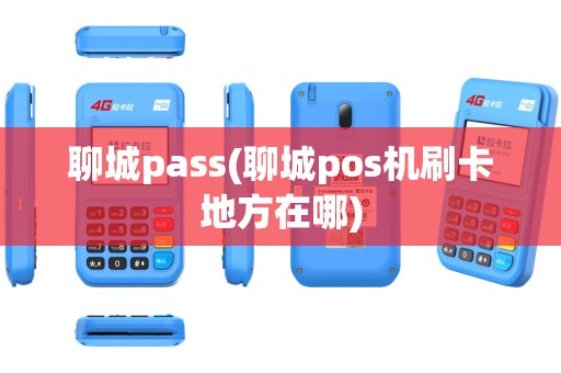 聊城pass(聊城pos机刷卡地方在哪)
