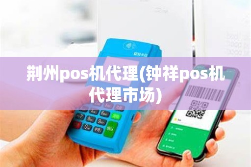 荆州pos机代理(钟祥pos机代理市场)