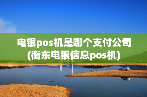 电银pos机是哪个支付公司(衡东电银信息pos机)