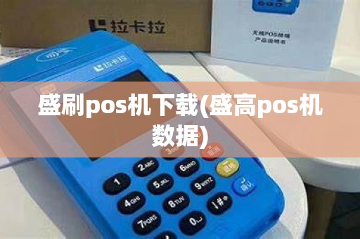 盛刷pos机下载(盛高pos机数据)