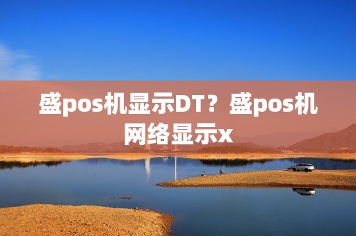 盛pos机显示DT？盛pos机网络显示x