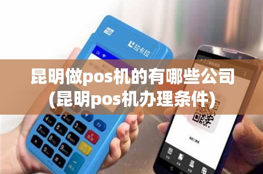 昆明做pos机的有哪些公司(昆明pos机办理条件)