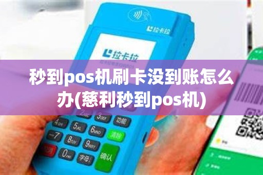秒到pos机刷卡没到账怎么办(慈利秒到pos机)