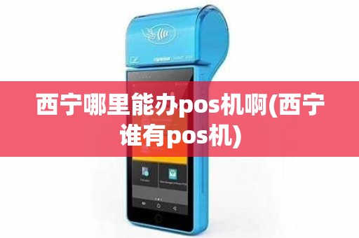 西宁哪里能办pos机啊(西宁谁有pos机)