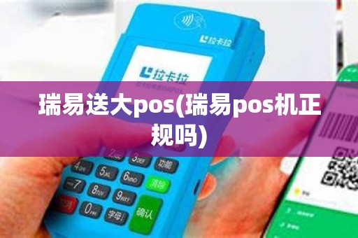 瑞易送大pos(瑞易pos机正规吗)