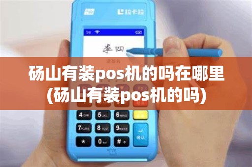 砀山有装pos机的吗在哪里(砀山有装pos机的吗)