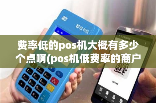费率低的pos机大概有多少个点啊(pos机低费率的商户)