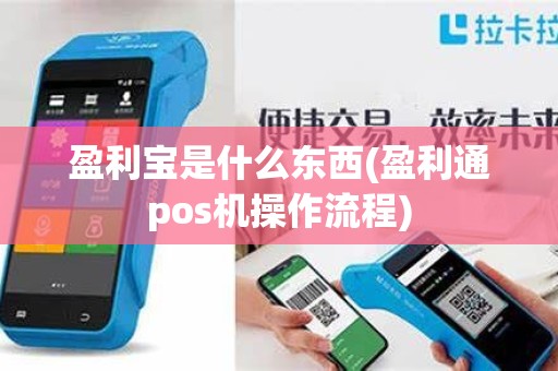 盈利宝是什么东西(盈利通pos机操作流程)