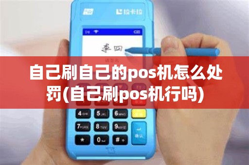 自己刷自己的pos机怎么处罚(自己刷pos机行吗)