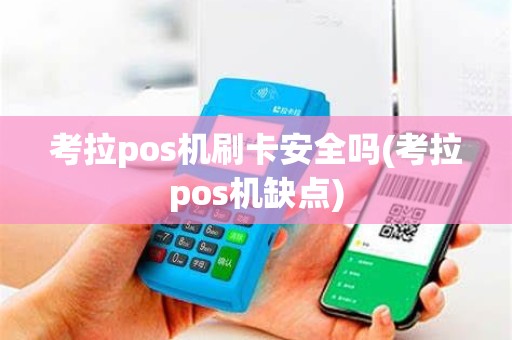 考拉pos机刷卡安全吗(考拉pos机缺点)