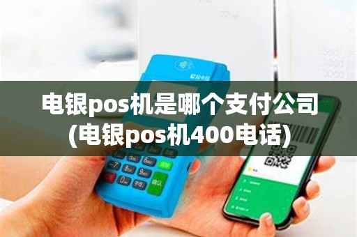 电银pos机是哪个支付公司(电银pos机400电话)